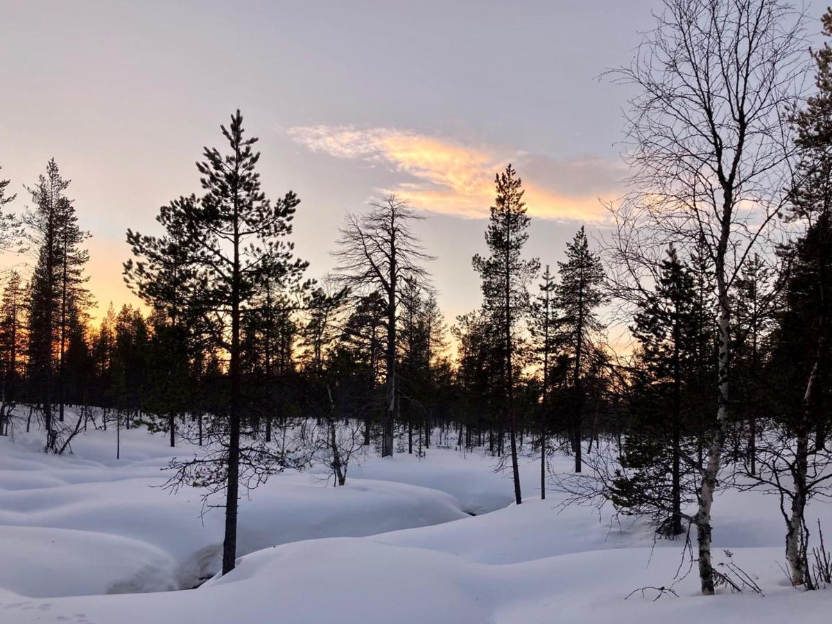 Kuukkeli Log Houses Aurora Cabin - Jaspis Saariselka Luaran gambar